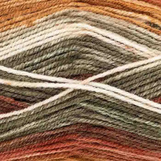King Cole Bramble DK 100g