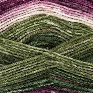 King Cole Bramble DK 100g