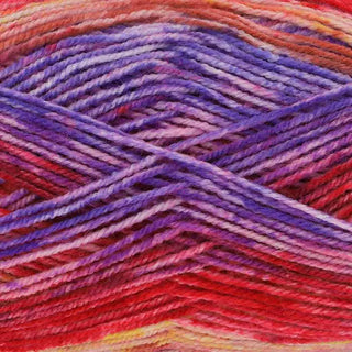 King Cole Bramble DK 100g