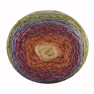 King Cole Curiosity DK 150g