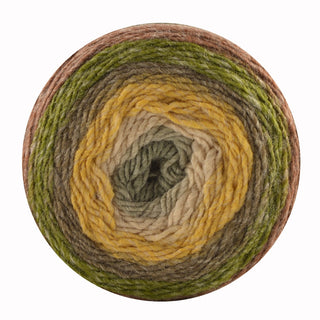 King Cole Curiosity DK 150g