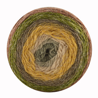 King Cole Curiosity DK 150g