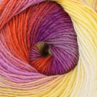 King Cole Riot DK 100g