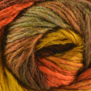 King Cole Riot Chunky 100g