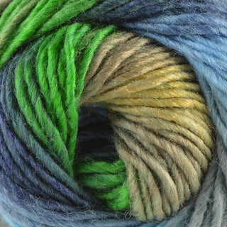 King Cole Riot Chunky 100g