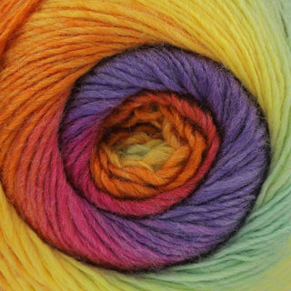 King Cole Riot DK 100g