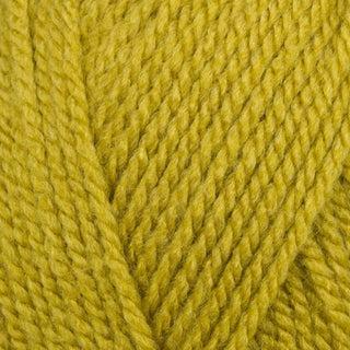 Stylecraft Special Aran 100g