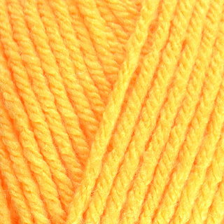 Stylecraft Special Chunky 100g