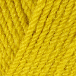 Stylecraft Special Chunky 100g