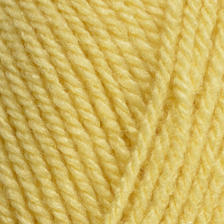 Stylecraft Special DK 100g