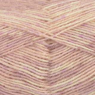 West Yorkshire Spinners Signature 4Ply 100g