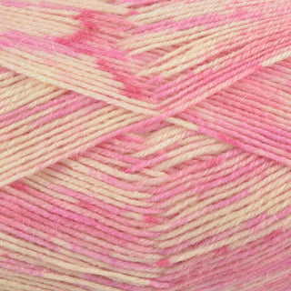 West Yorkshire Spinners Signature 4Ply 100g