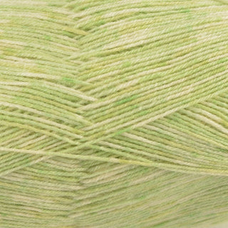 West Yorkshire Spinners Signature 4Ply 100g