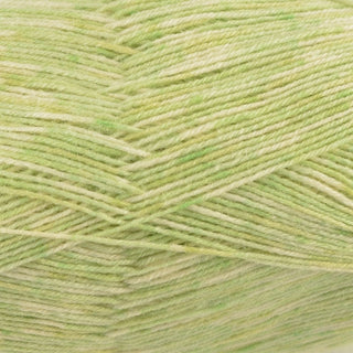 West Yorkshire Spinners Signature 4Ply 100g