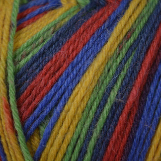 West Yorkshire Spinners Signature 4Ply 100g