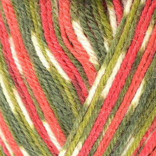 West Yorkshire Spinners Signature 4Ply 100g