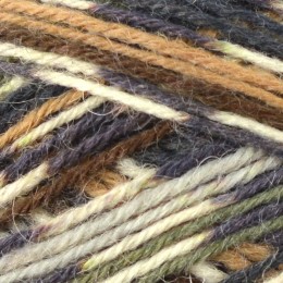 West Yorkshire Spinners Signature Birds 4Ply 100g Owl 877