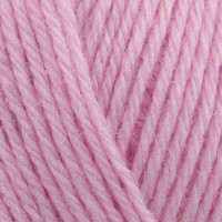 Carnation 3947